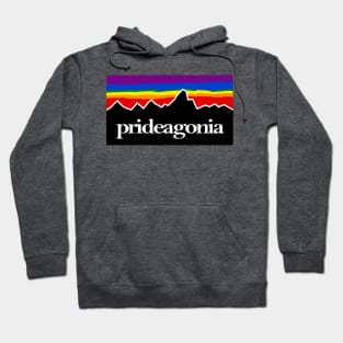 Pride and Adventure Hoodie